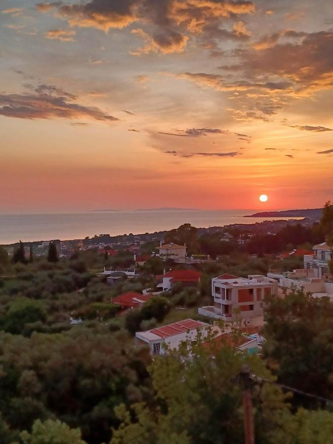 Apartment Il Tramonto 2 *